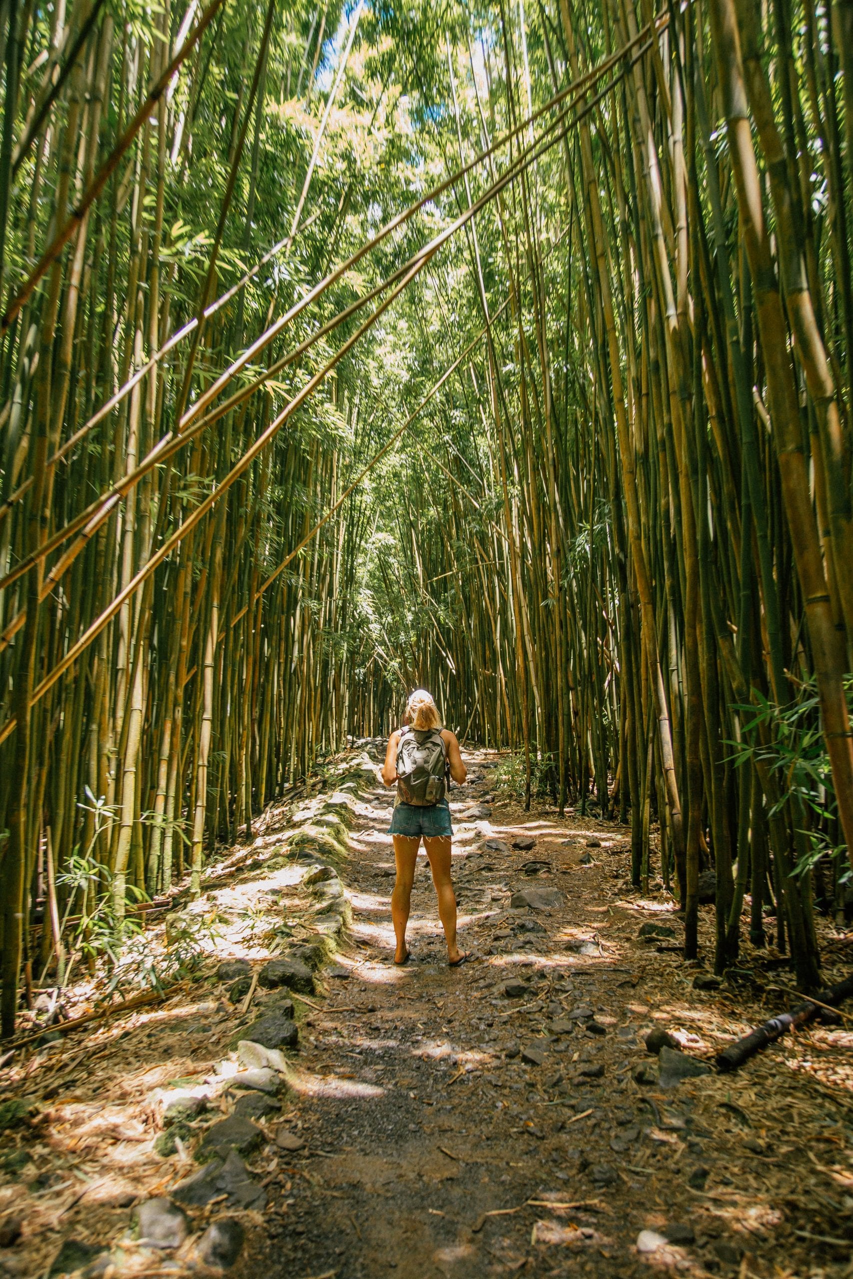 I'm Jess Traveling standing in a bamboo forest Bamboo forest on the Pipiwai Trail Hana Maui