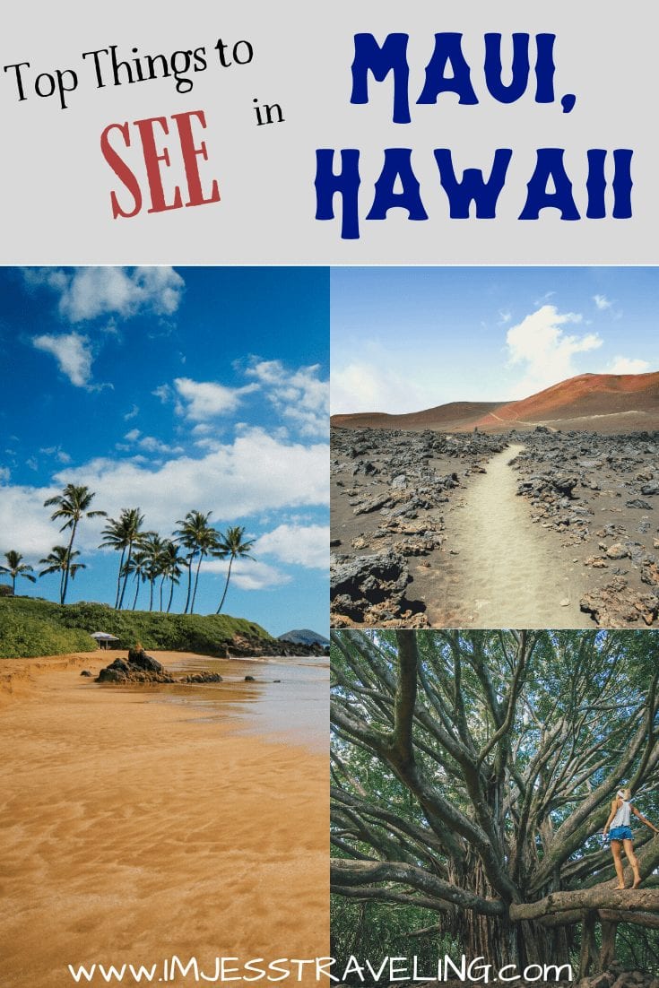 Top Things to see in Maui with I'm Jess Traveling Top Things to see in Maui with I'm Jess Traveling