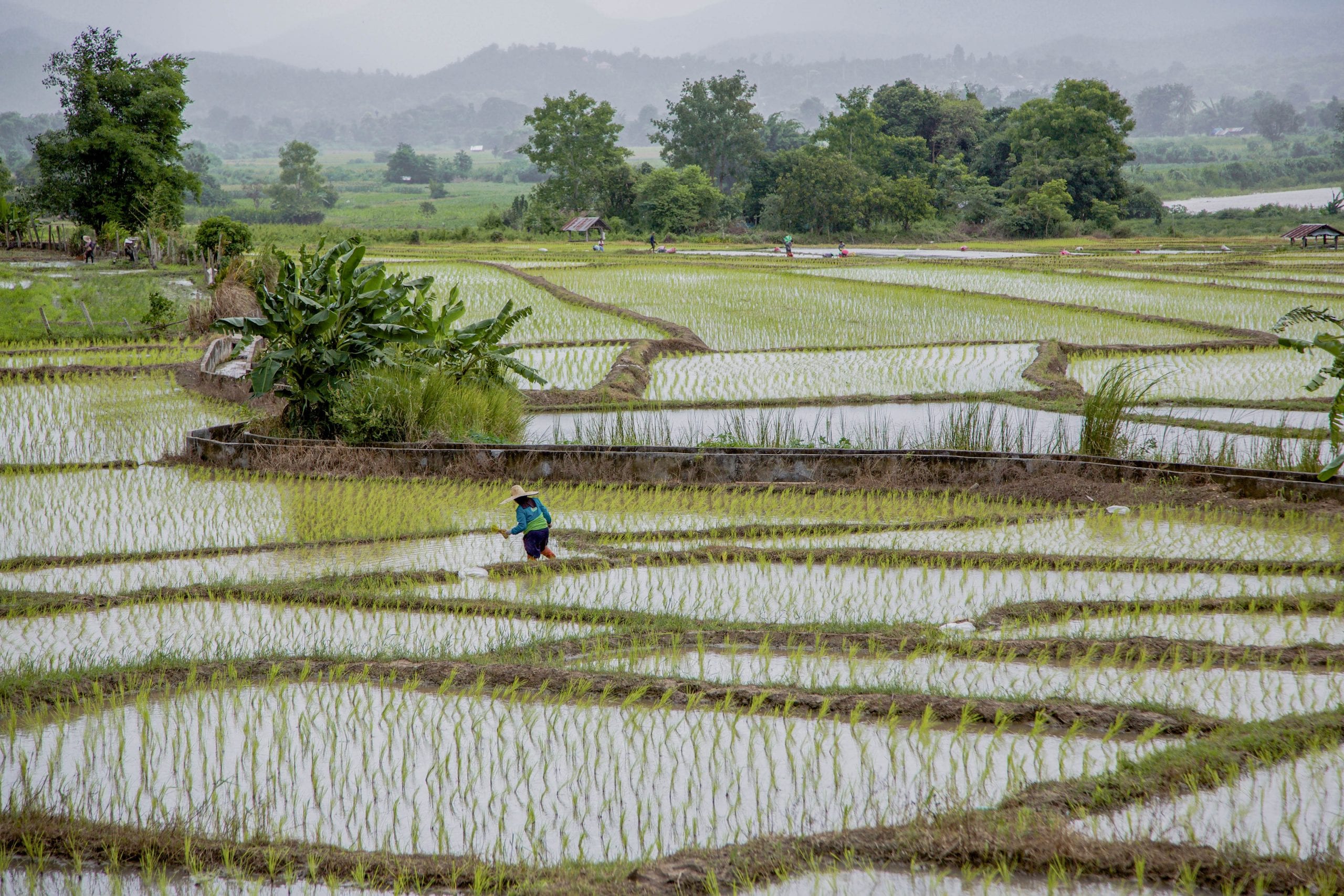 Is Pai Worth Visiting? Everything You Need to Know Before Going