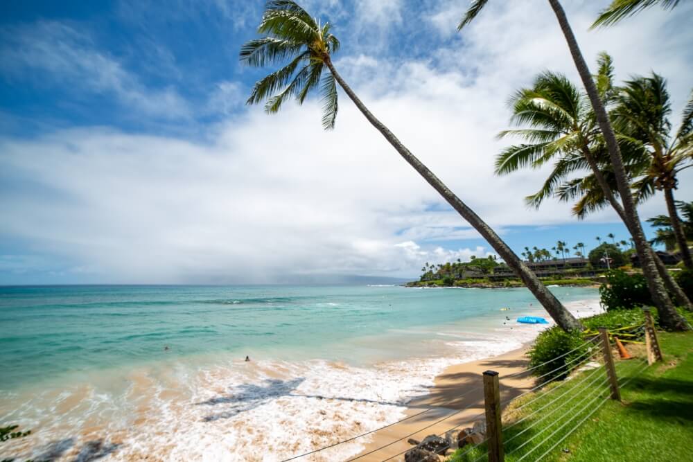 Napili Bay one of Maui's best beaches on West Maui Napili Bay with a palm tree hanging over the beach