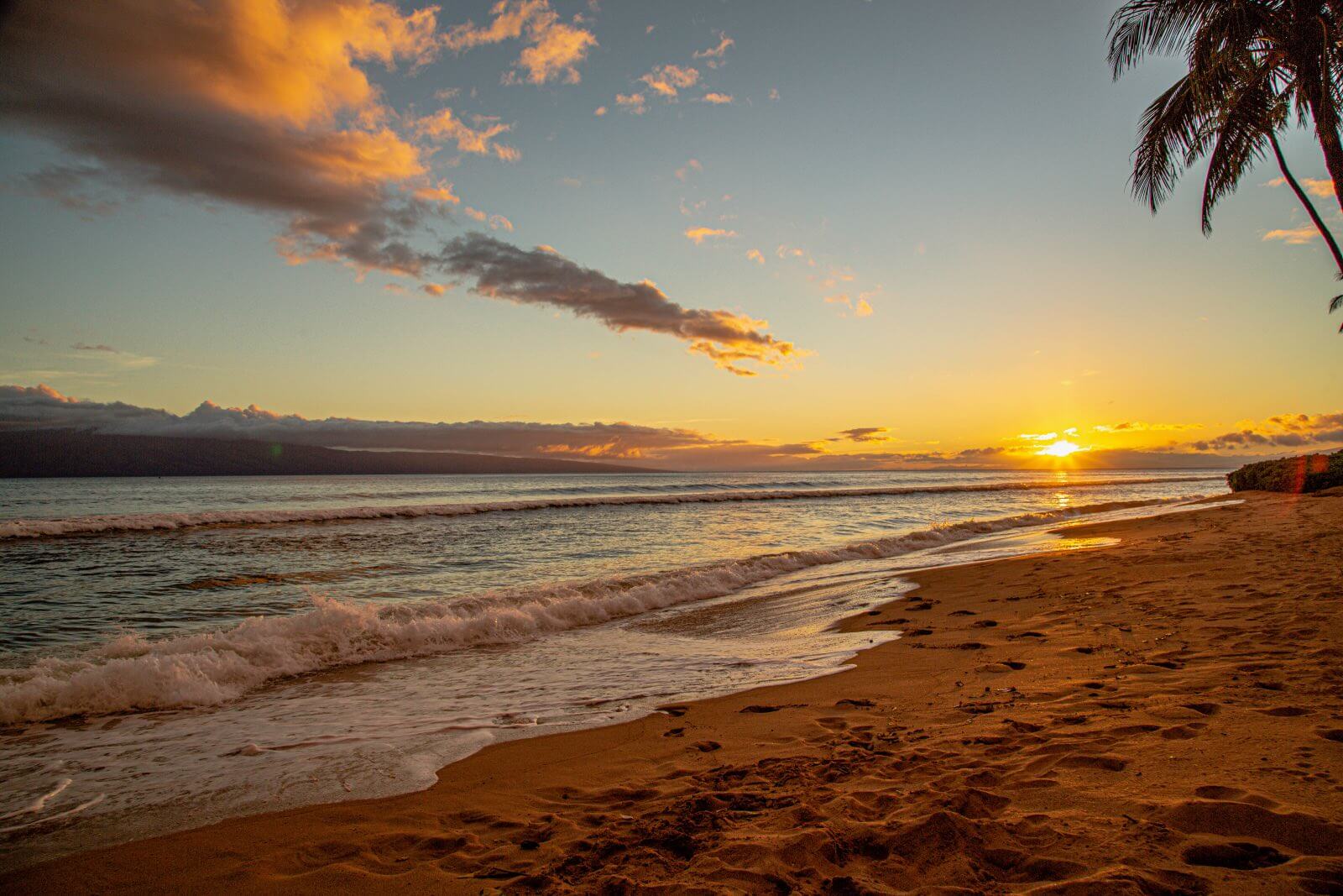 Sunset at Kaanapali Beach Maui with a palm tree