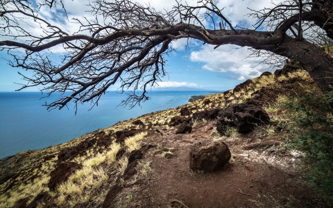 Things to do in West Maui: 18 Amazing Stops