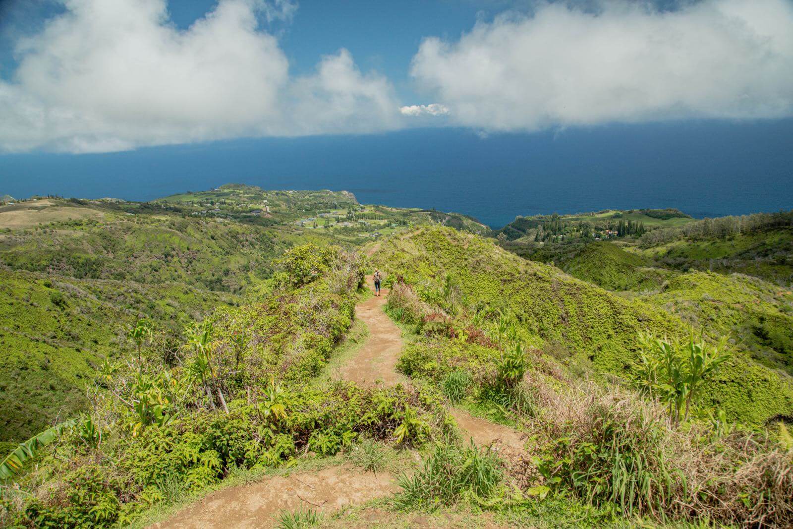 Ridge Hike with I'm Jess Traveling-17 Views of the ocean and West Maui mountains on the Waihee Ridge Trail'