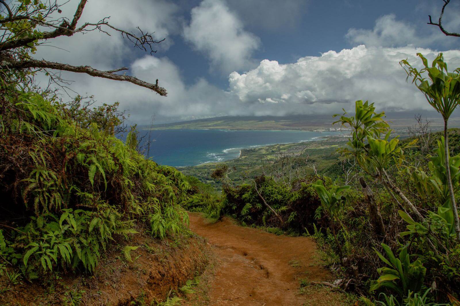 The Waihee Ridge Trail on Maui HI