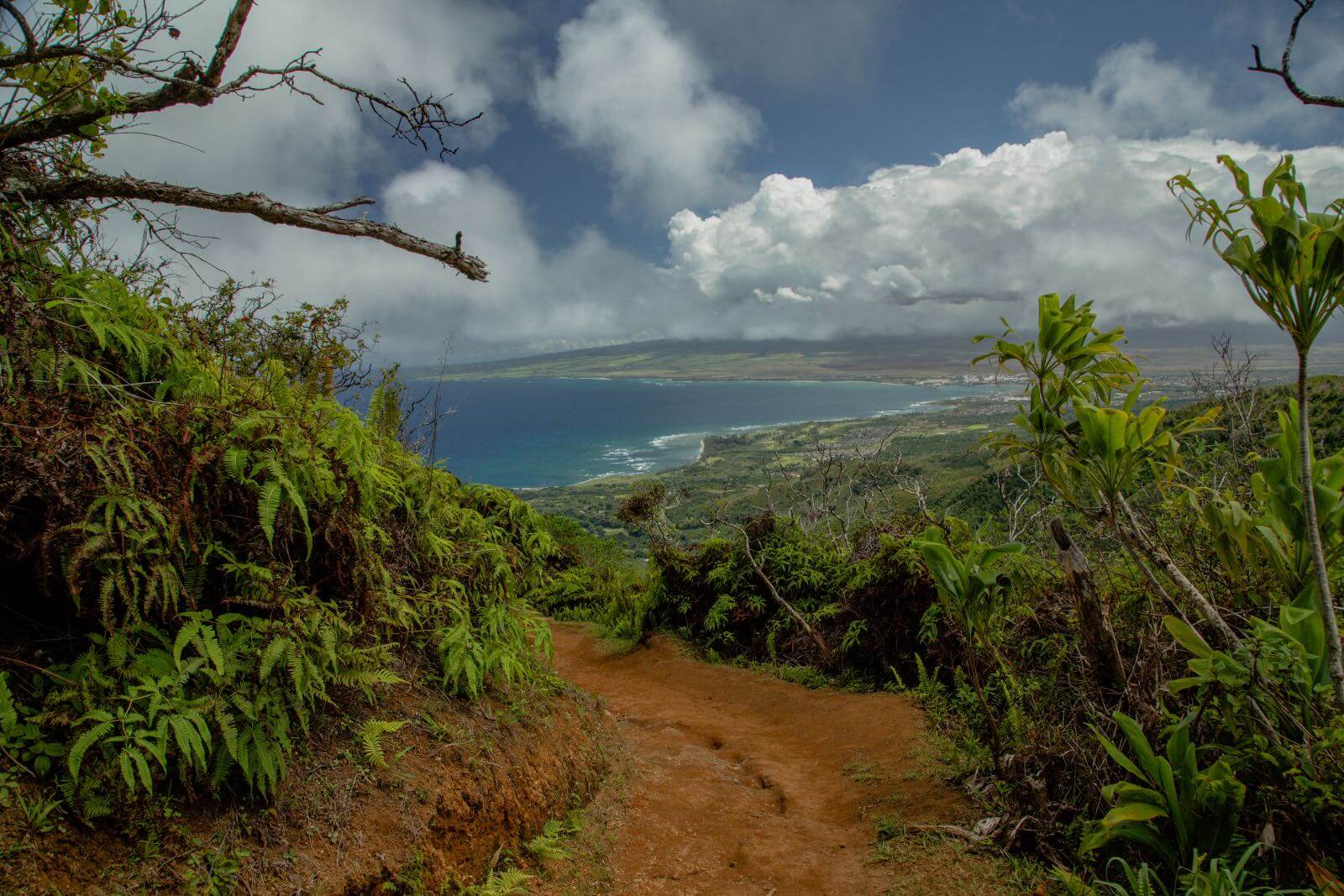 Ridge Hike with I'm Jess Traveling-19 The Waihee Ridge Trail on Maui HI