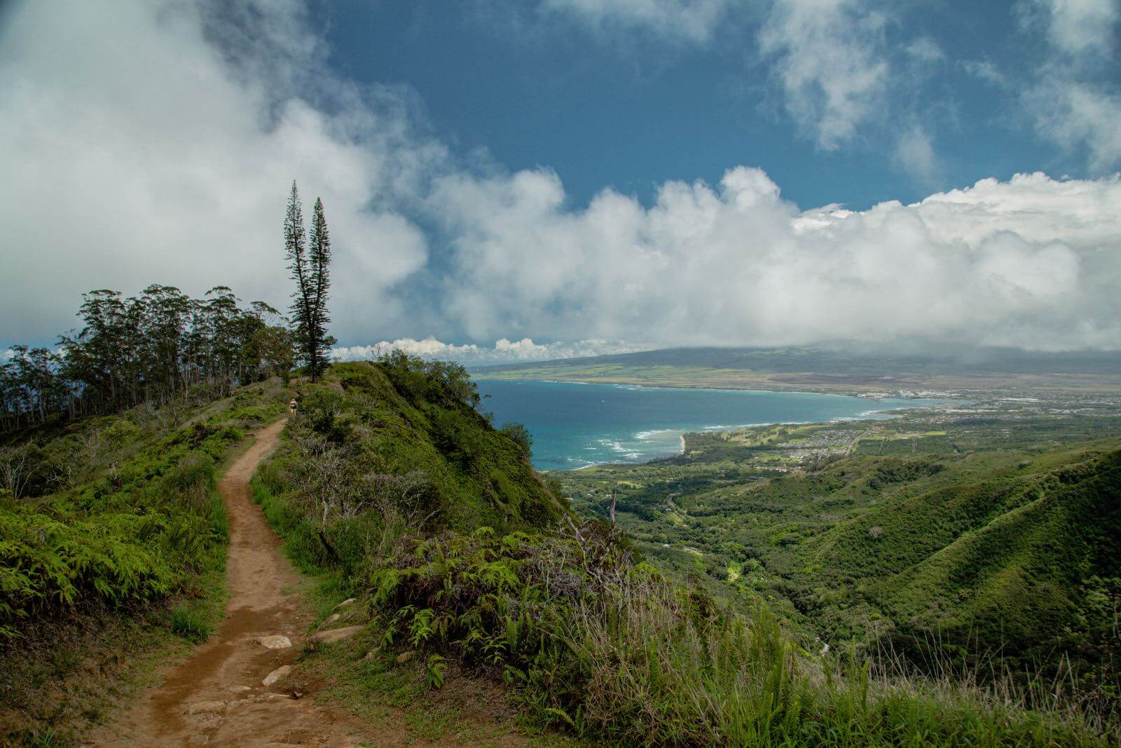 Hiking the Waihee Ridge Trail The Ridge Trail with ocean Views