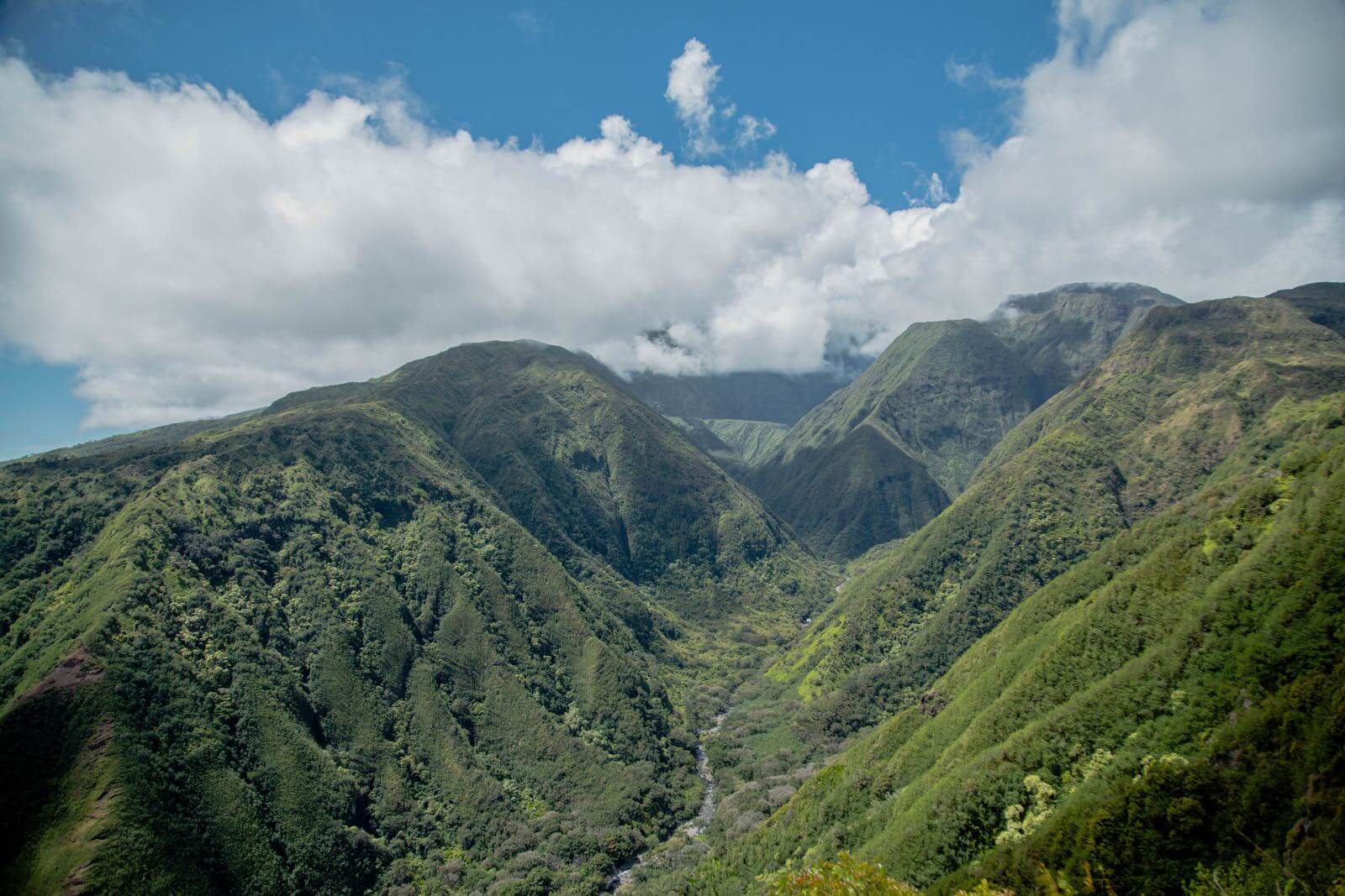 Hiking on Maui Lush green Mountains