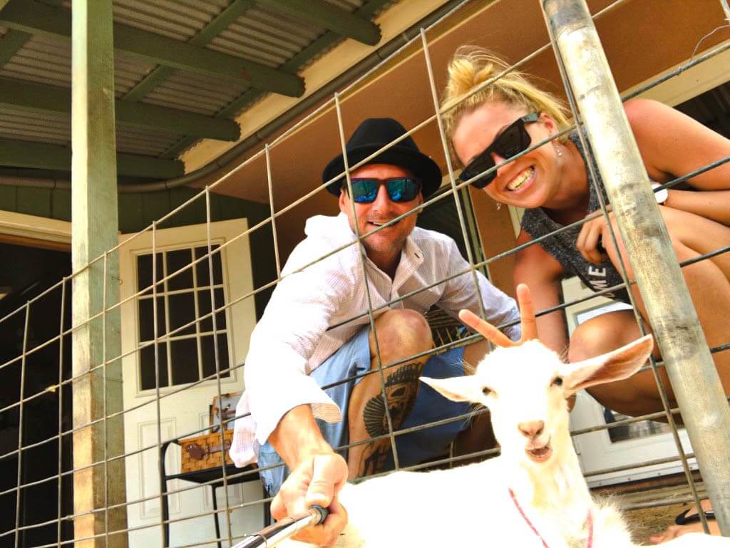 Jess and Joe with baby goats at at the Surfing Goat Dairy Farm A girl and a guy giving a baby goat bunny ears
