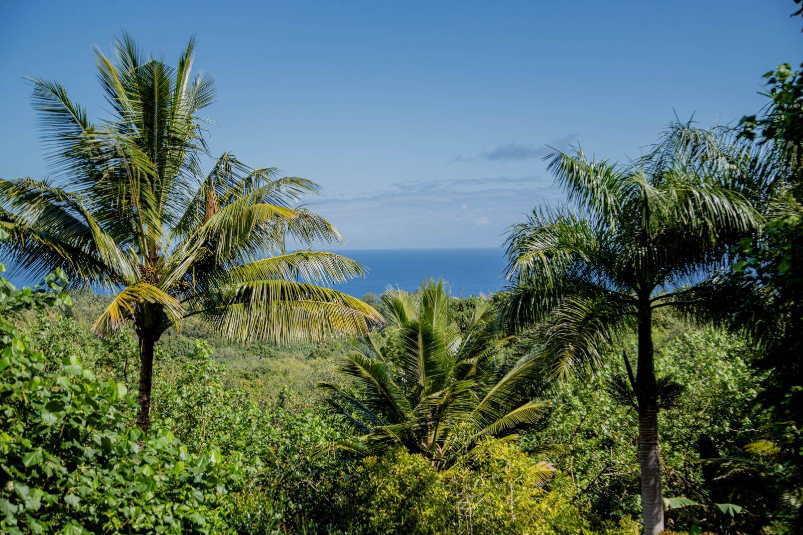 Best stops on the road to Hana. Hello Outlook A beautiful outlook on the road to Hana