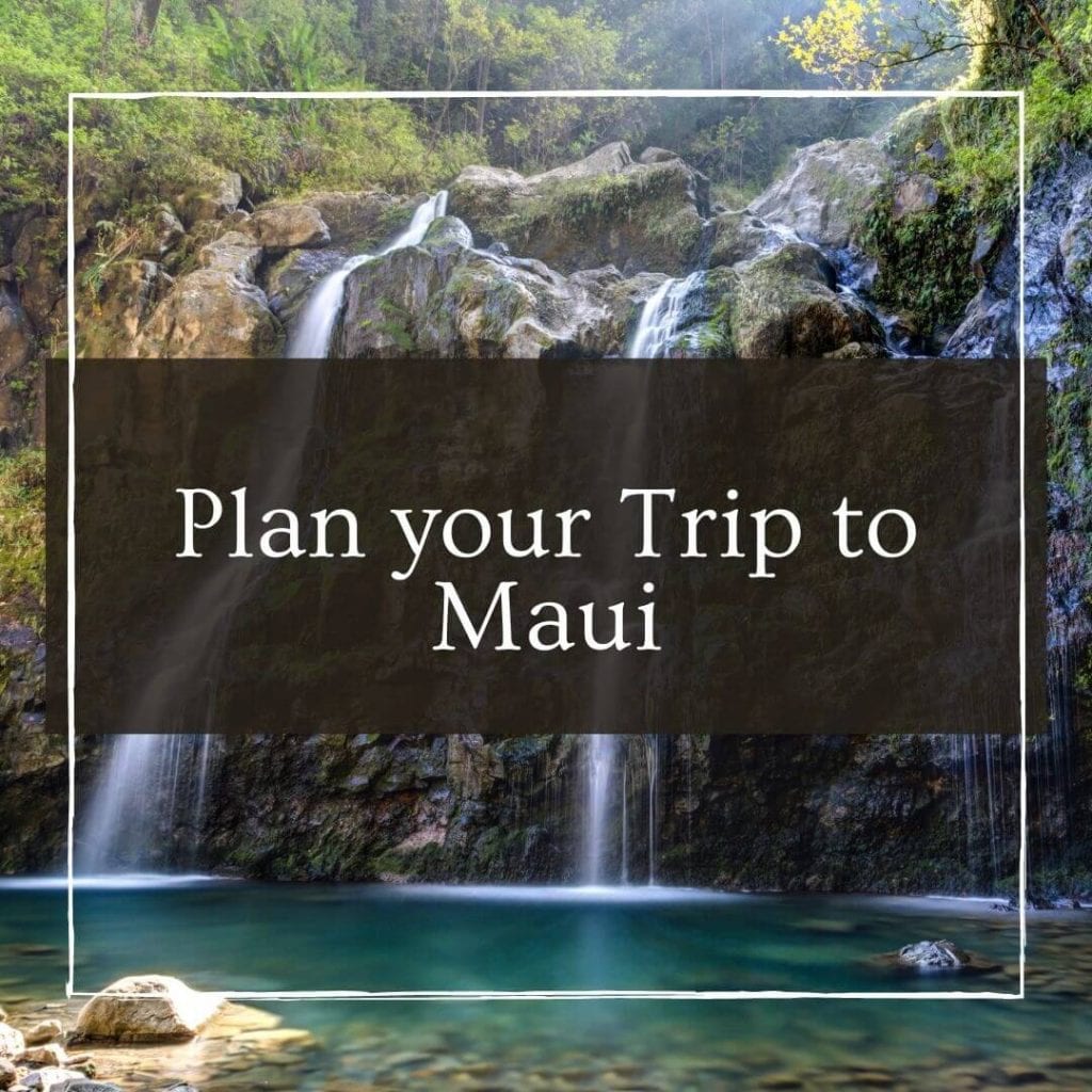 Maui travel guide