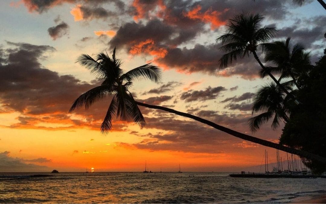 Top Things to See in Maui: Written by a Resident