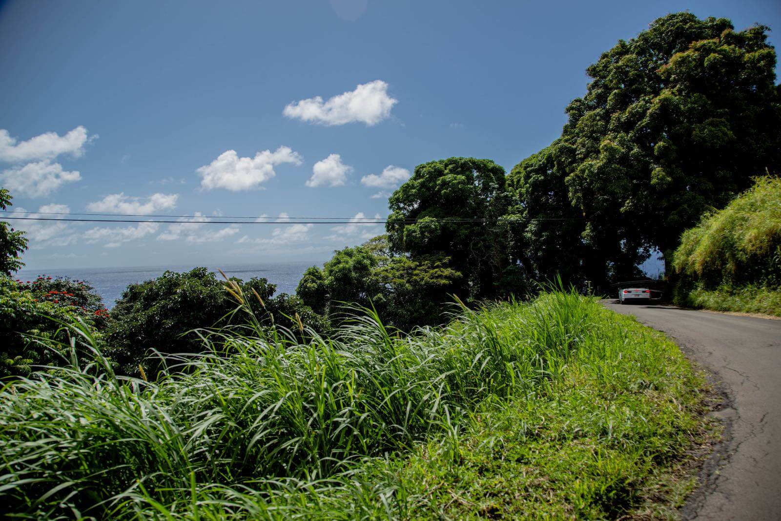 The Road to Hana The Road to Hana