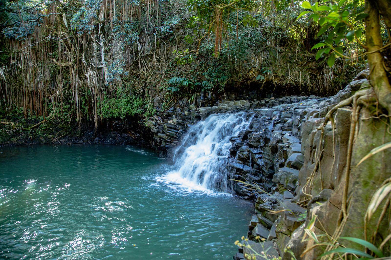 Twin Falls on the Road to Hana-2 Twin Falls a popular stop on the road to Hana