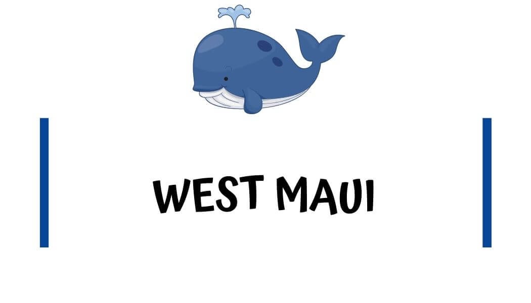 Airbnb condos in West Maui Airbnb condos in West Maui