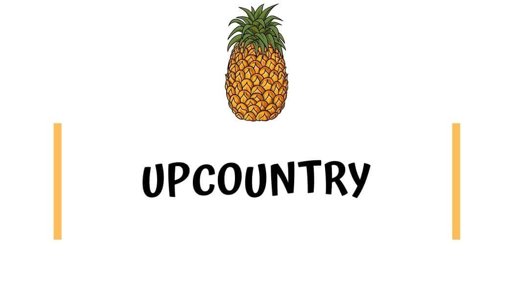 Upcountry Maui airbnb Upcountry Maui airbnb