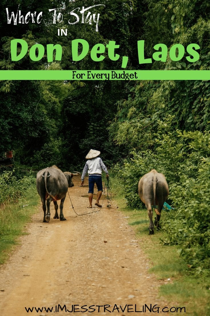 The best places to stay in Don Det Laos