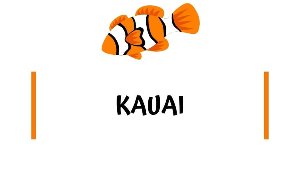 Kauai travel guides Kauai travel guides