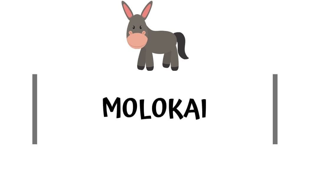 Molokai travel guides Molokai travel guides