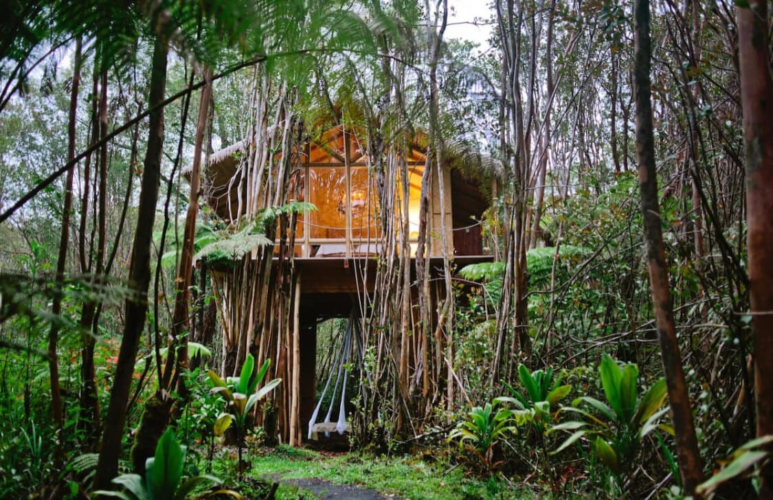 Tropical Treehouse Airbnb in Hawaii