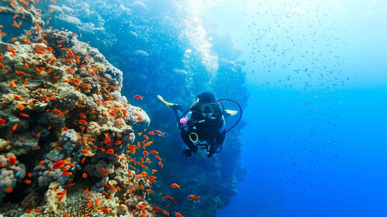 Scuba diving in Kaanapali Maui