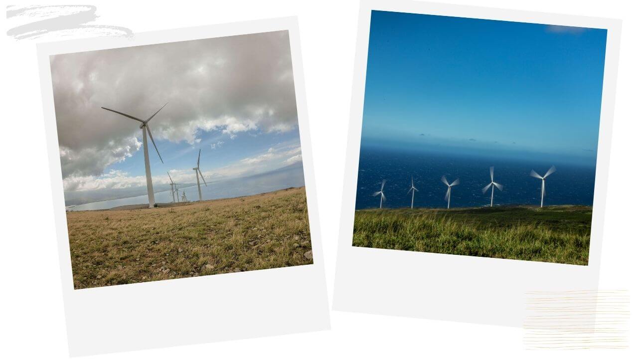Maui windmill hike The windmill hike lahaina