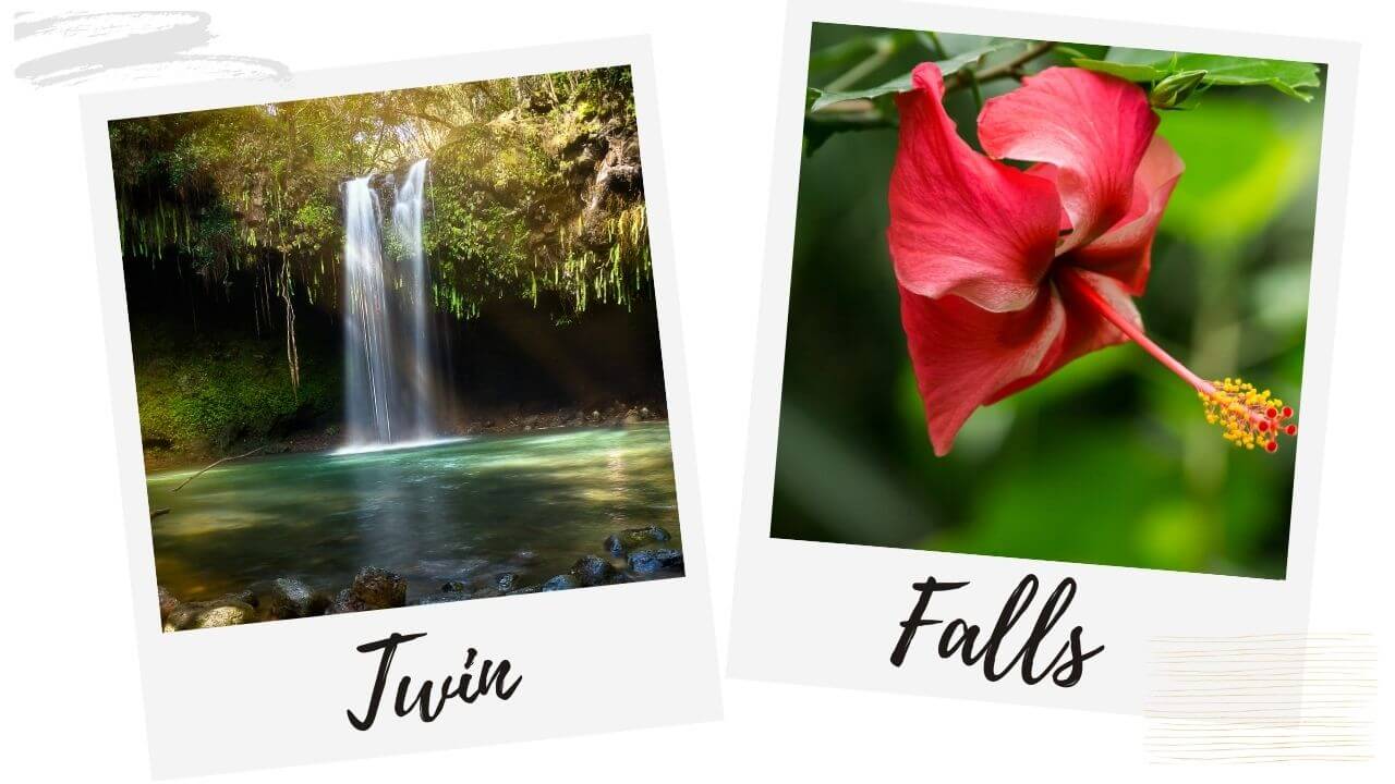 Twin Falls a popular hike in Haiku, Maui