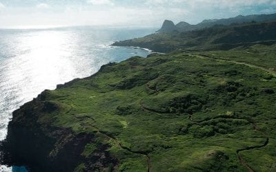 A Guide to Hiking the Ohai Trail, Maui