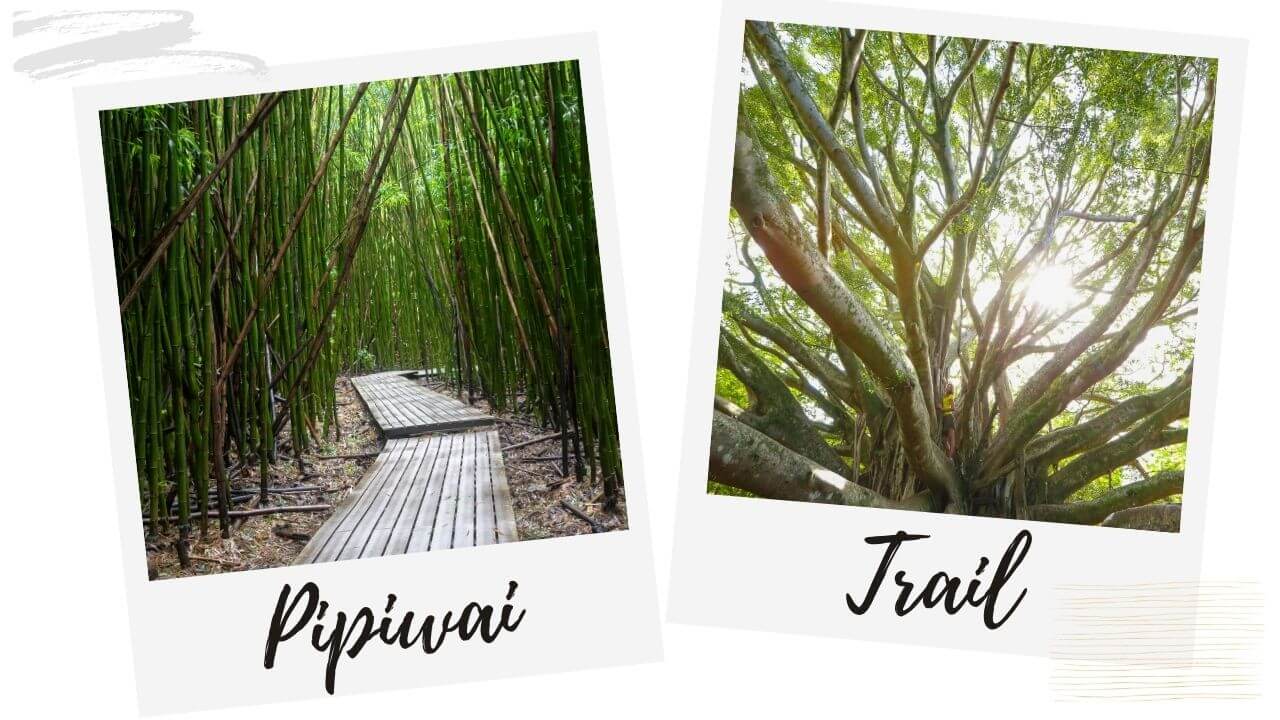 Pipiwai Trail The Pipiwai Trail, Hana Maui