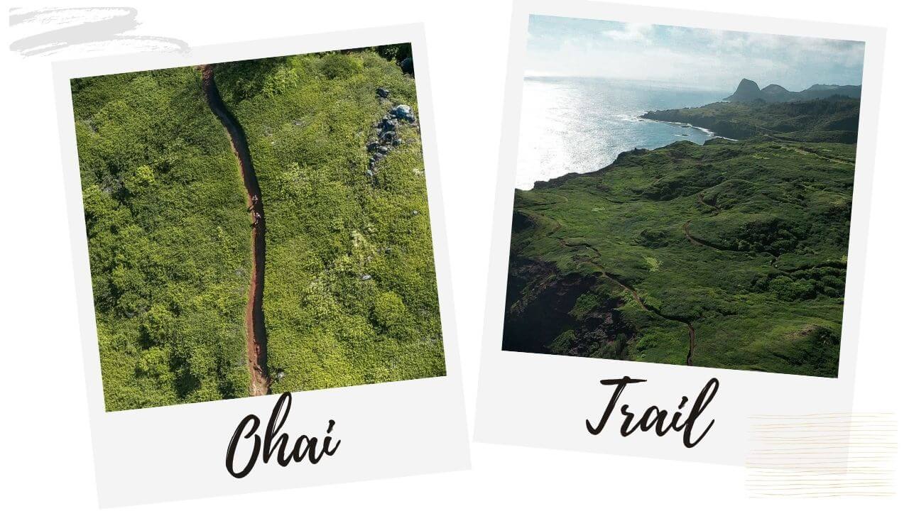 Ohai Trail West Maui Ohai Trail one of Maui's best hikes
