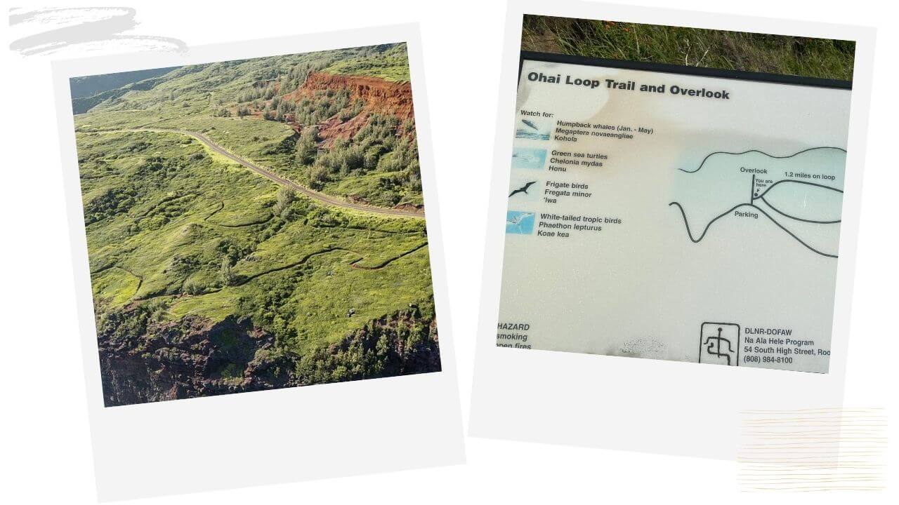 Map of Ohai Trail Directions to the Ohai Trail on Maui