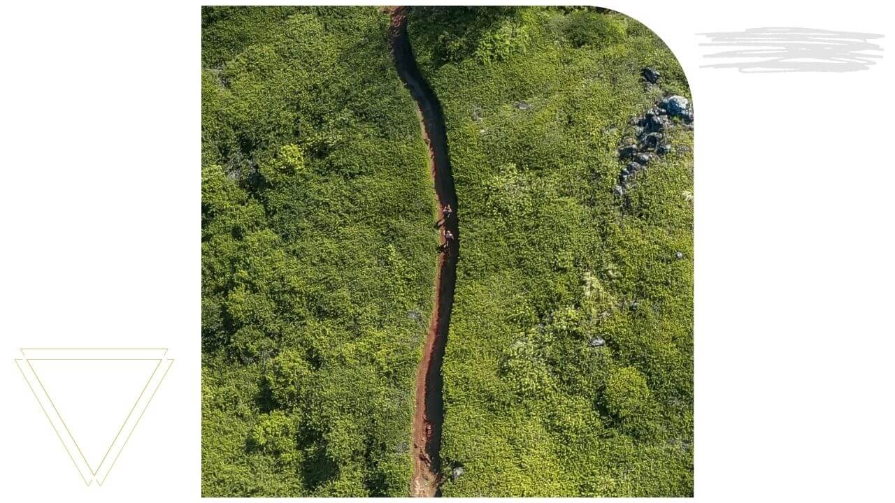 Hiking Maui Hiking the Ohai Trail