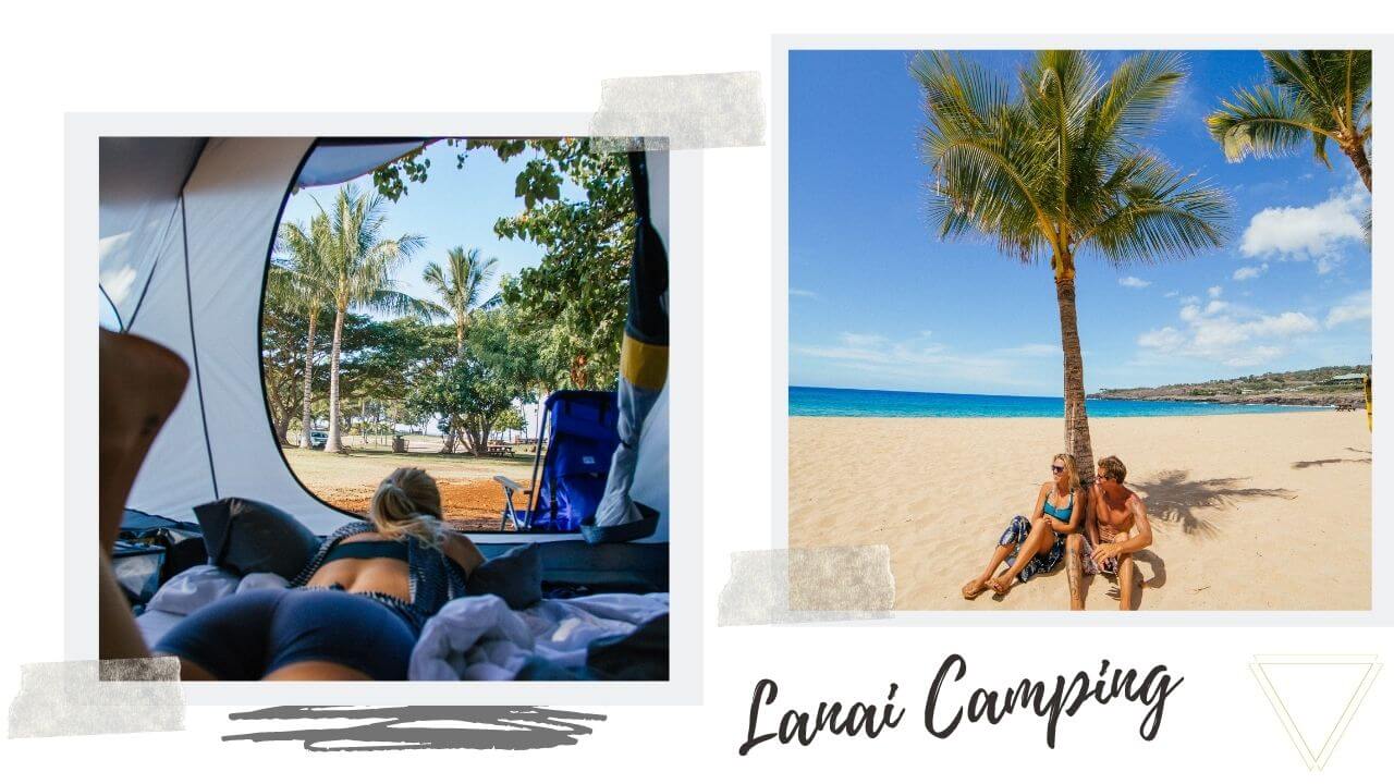 Lanai Camping Camping on Lanai