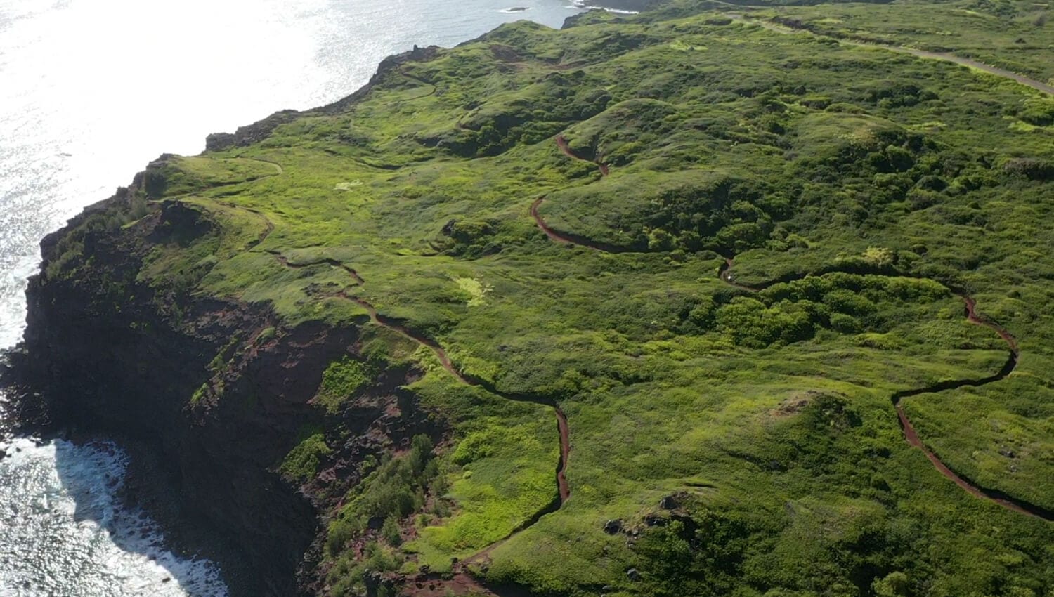 Ohai Trail, Maui Hawaii