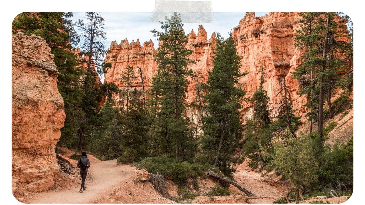 Bryce Park Hiking in Bryce Canyon National Park