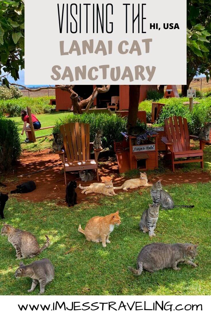 Day Trip to the Lanai Cat Sanctuary