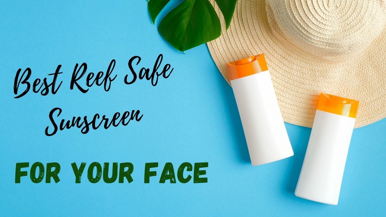 Reef Safe Sunscreens The best reef safe sunscreen products for your face .