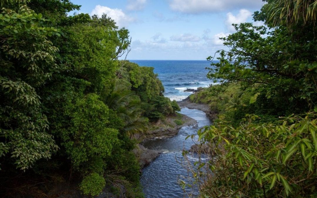 30 Things to do in Maui on a Budget