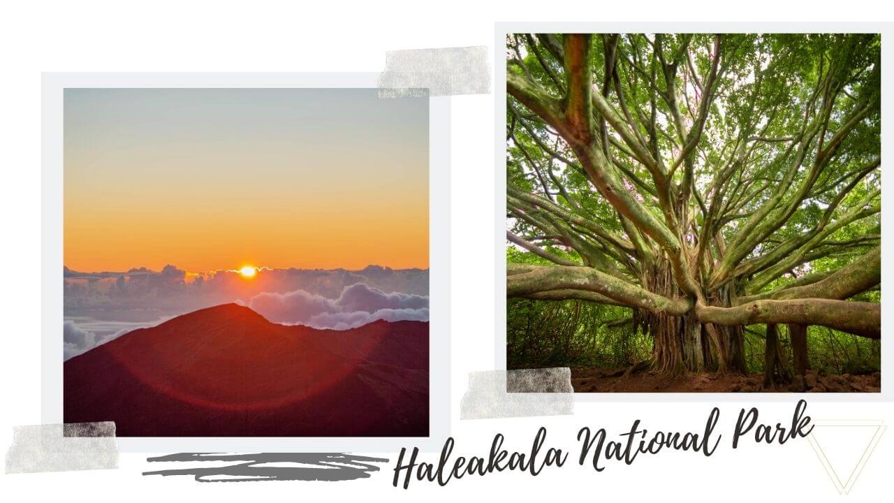 A guide to visiting Haleakala National Park