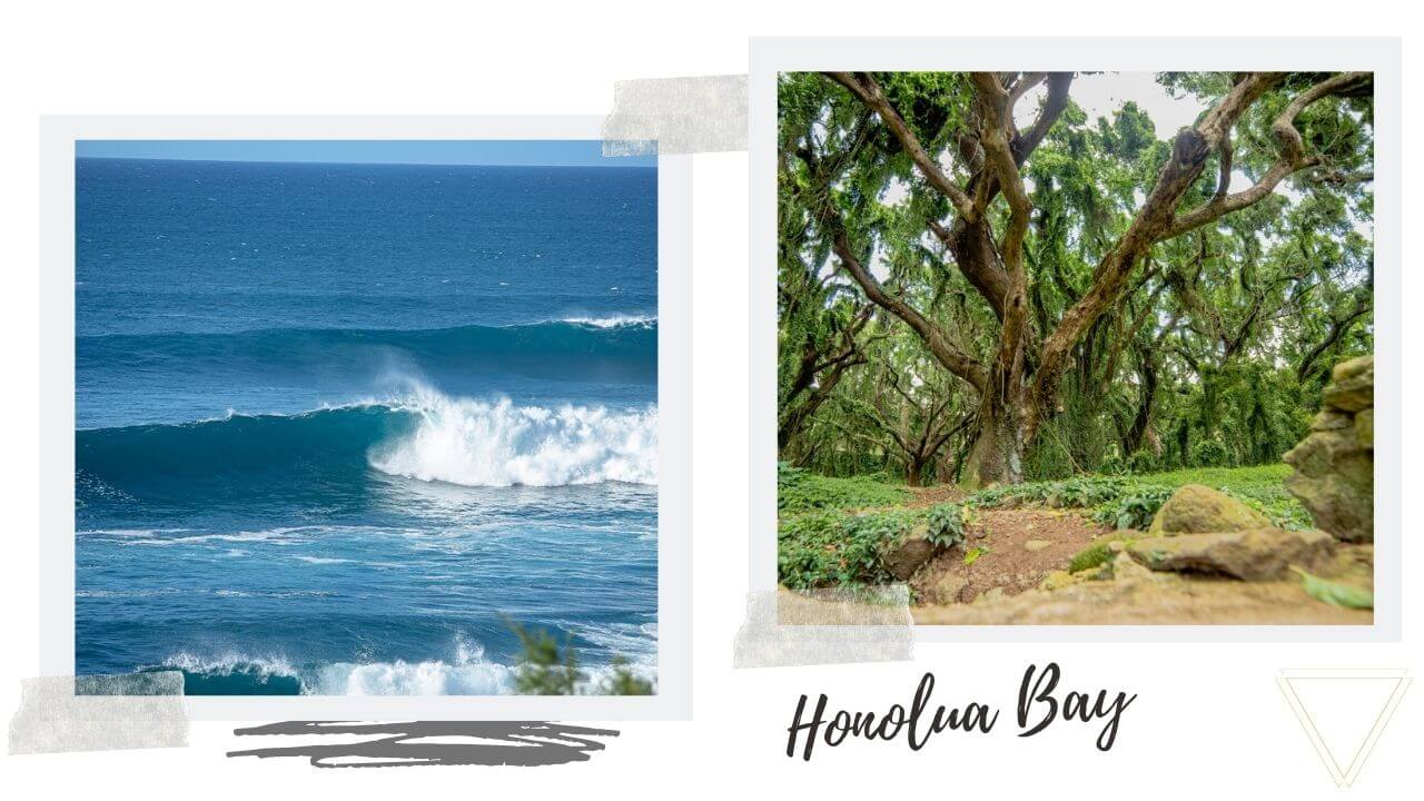 Honolua Bay on Maui Honolua Bay Maui, Hawaii