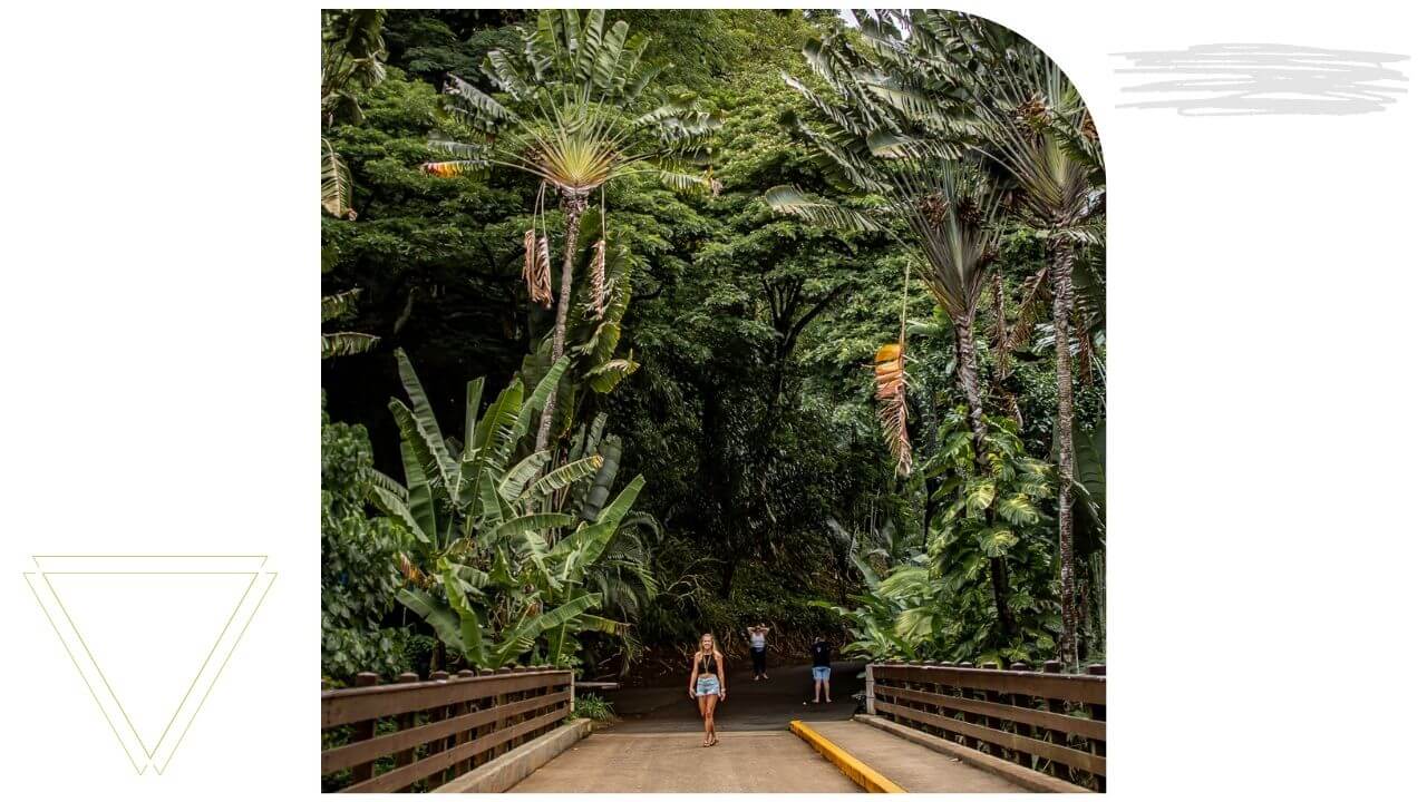 Waimea Botanical Gardens Oahu 