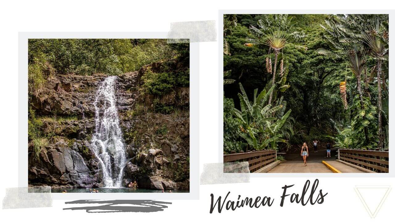Waimea Falls Oahu, Hawaii-2 Waimea Falls & Waimea Botanical Gardens