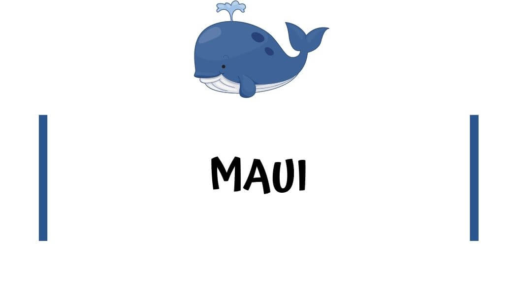3-2 Maui honeymoon resorts