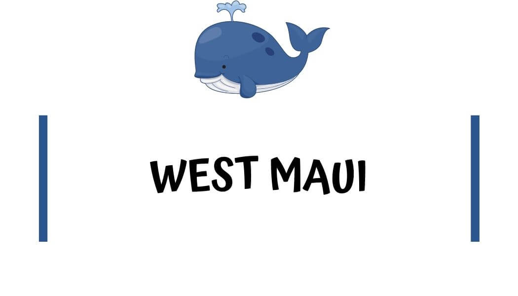 best beaches on West Maui