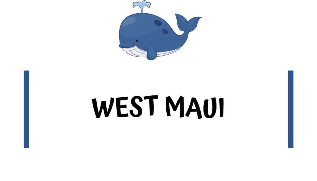 best beaches in West Maui best beaches on West Maui