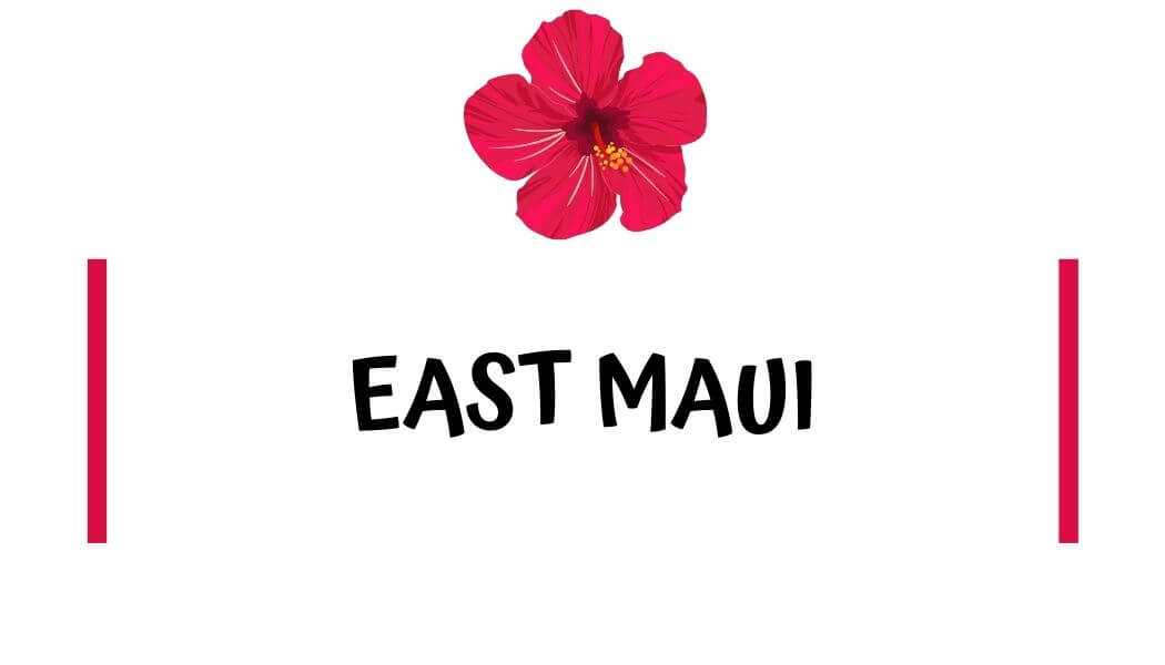 best beaches in East Maui best beaches in East Maui