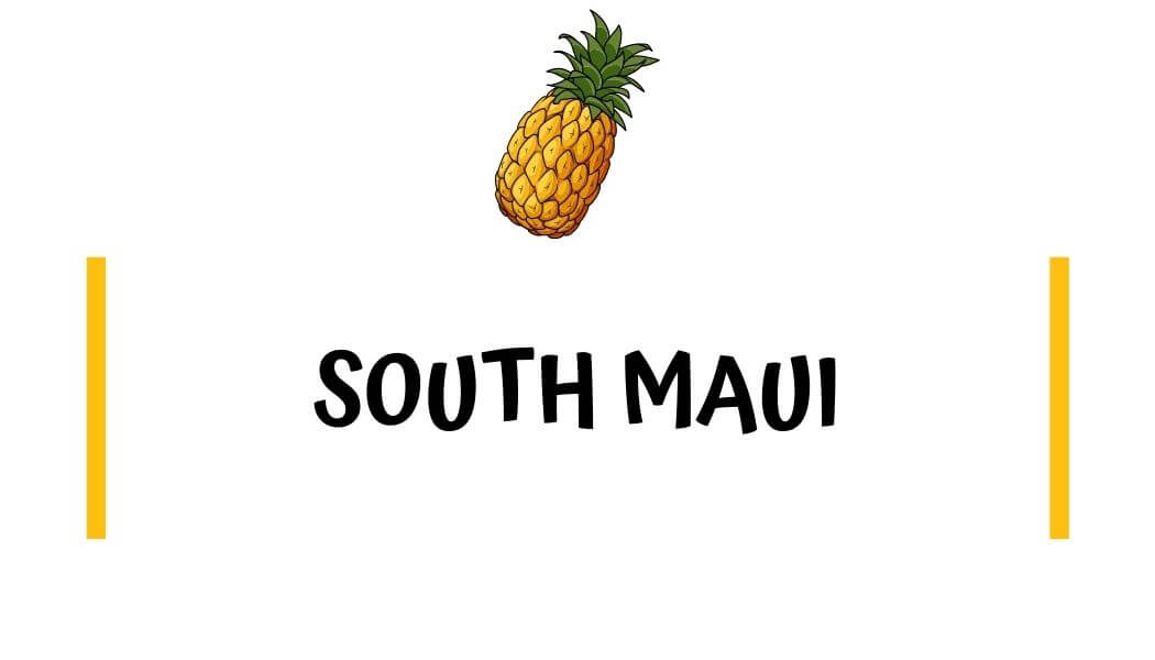 best beaches on South Maui best beaches in south Maui