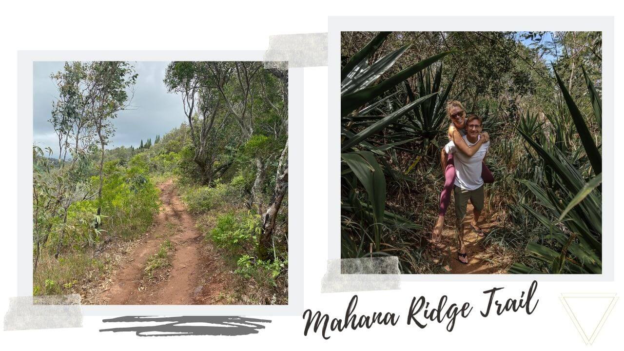 Mahana Ridge Trail Maui Hawaii