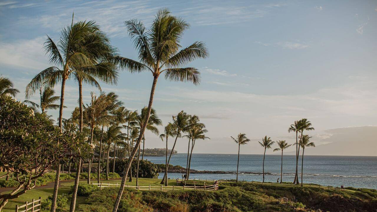 View of Kapalua Bay on the Coastal Trail View of Kapalua Bay on the Coastal Trail