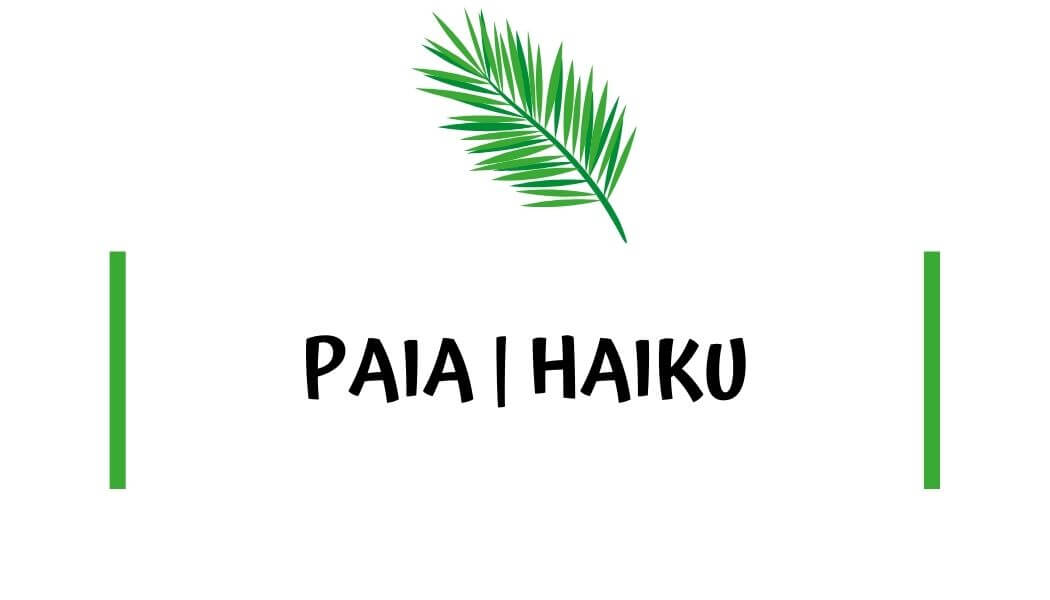 Best places to stay in Haiku Hawaii Where to stay in Paia, Maui