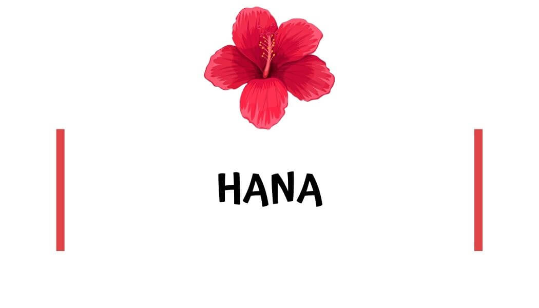 Best places to stay in East Maui Where to stay in Hana, Maui